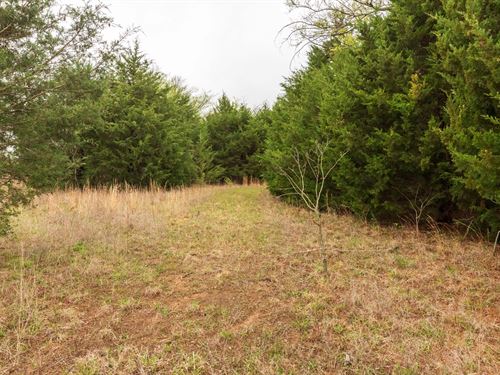 Own Today, $999 Down : Bearden : Okfuskee County : Oklahoma