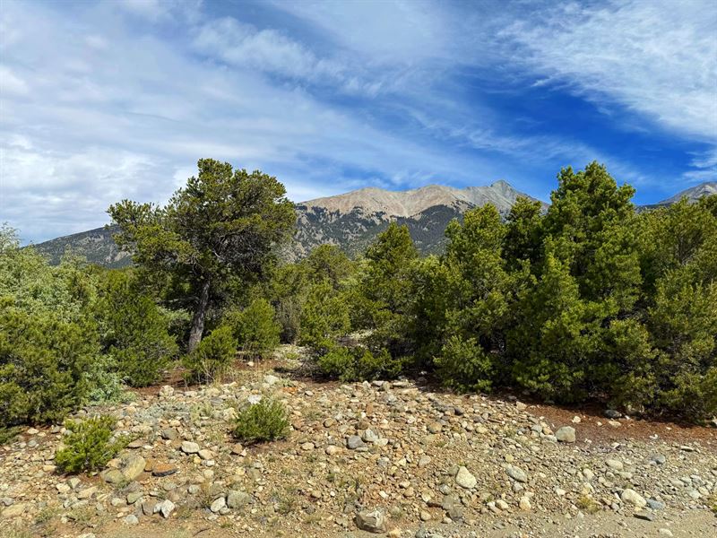14Er Views in Foothill of MT Blanca : Blanca : Costilla County : Colorado