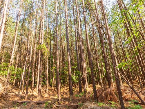 As Low as $499 Down : Lexington : Henderson County : Tennessee