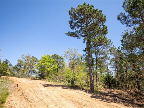 Beautiful Off Grid Property : Clayton : Pushmataha County : Oklahoma