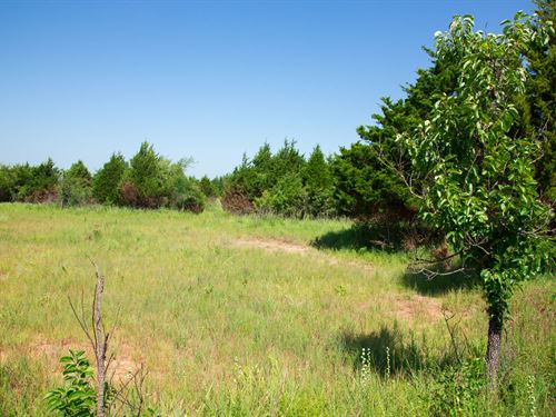 $999 Down Raw Land : Okemah : Okfuskee County : Oklahoma