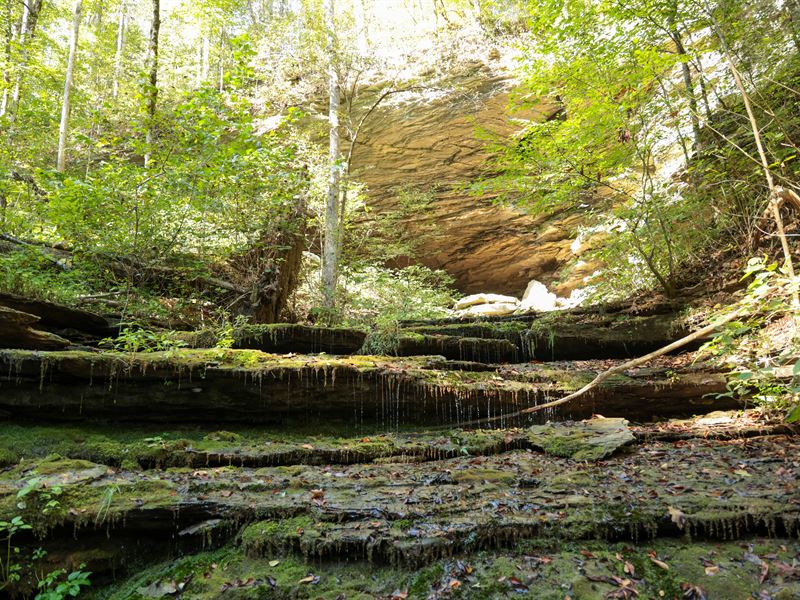 Parris Farms : Monroe : Overton County : Tennessee