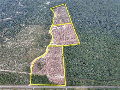 17.5 Acres, T-1, Off FM 1416 : Trout Creek : Newton County : Texas