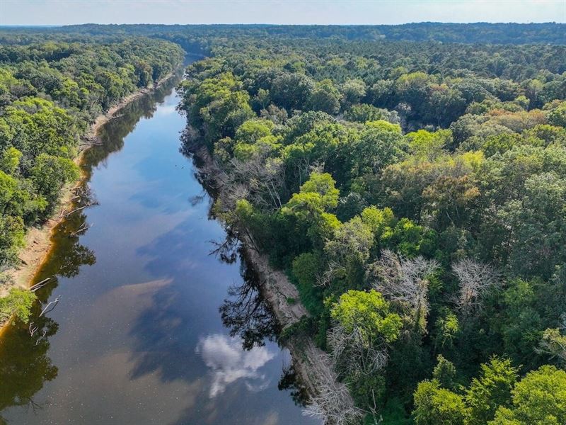 145.3 Acres of Hunting/Recreational : Fayetteville : Cumberland County : North Carolina