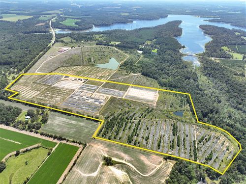 K Row 96 : Cairo : Grady County : Georgia