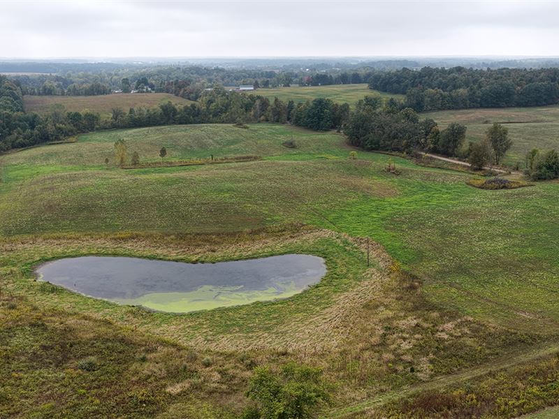 Land Auction, Hillsdale Co MI : Camden : Hillsdale County : Michigan