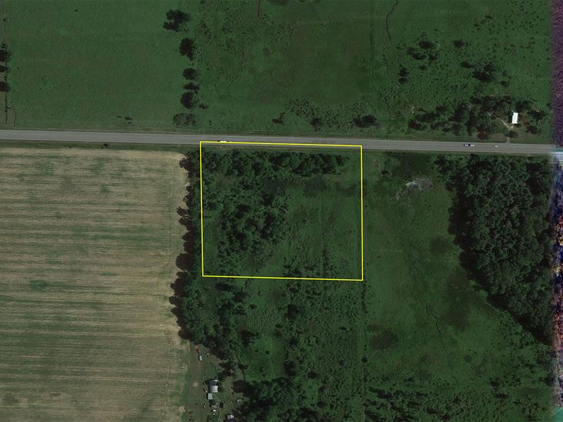 Land Auction, Lagrange County, Ind : Lagrange : LaGrange County : Indiana