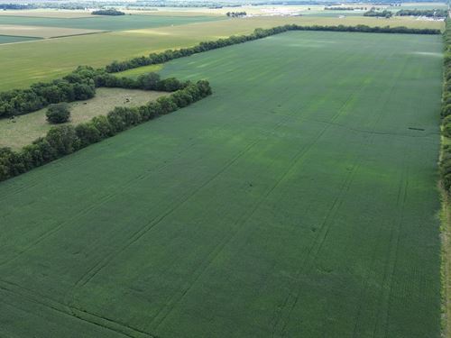Edgar Co., IL Farmland Auction : Brocton : Edgar County : Illinois