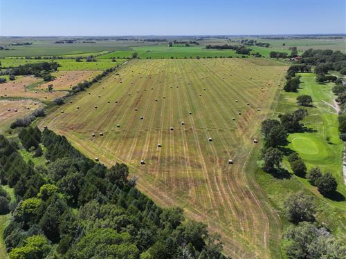 Buffalo Bill North Grass : North Platte : Lincoln County : Nebraska