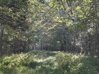 Webster/Choctaw, Big Black River : Eupora : Webster County : Mississippi