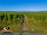 167 AC Anita Street : Waycross : Ware County : Georgia