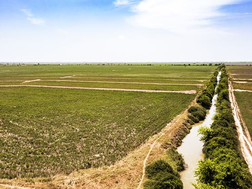 10+ Acres in Colorado County, TX : Eagle Lake : Colorado County : Texas