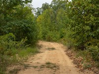 As Low as $499 Down Rural Land : Clifton : Perry County : Tennessee