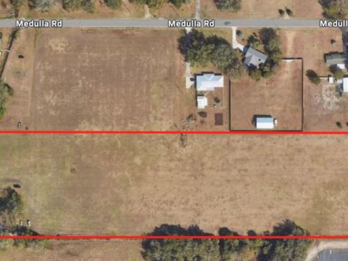 Absolute Auction, Plant City, FL : Plant City : Hillsborough County : Florida
