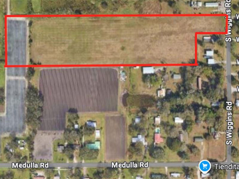 Absolute Auction, Plant City, FL : Plant City : Hillsborough County : Florida