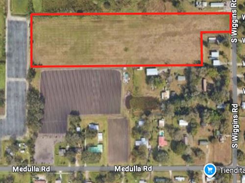 Absolute Auction, Plant City, FL : Plant City : Hillsborough County : Florida