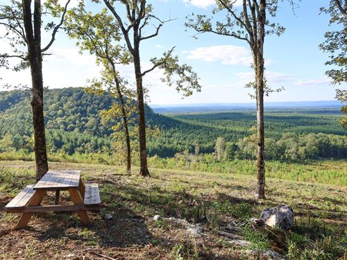 Ok, McCurtain 322 Acres : Smithville : McCurtain County : Oklahoma