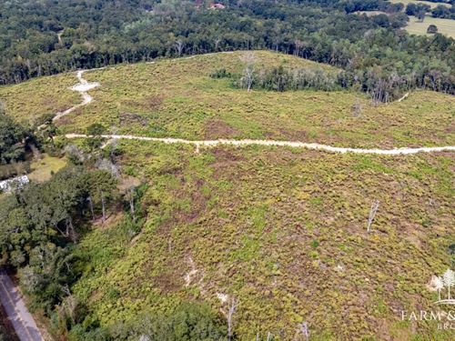 County Road 206 West : Jack : Coffee County : Alabama