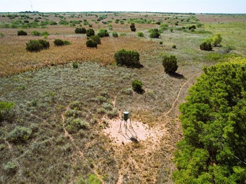98 Acres Near Matador Wildlife Mana : Paducah : Cottle County : Texas