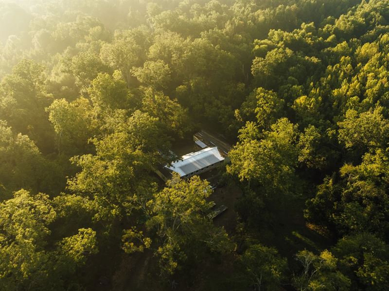 1,113.67 Acres with A Camp in Warr : Vicksburg : Warren County : Mississippi