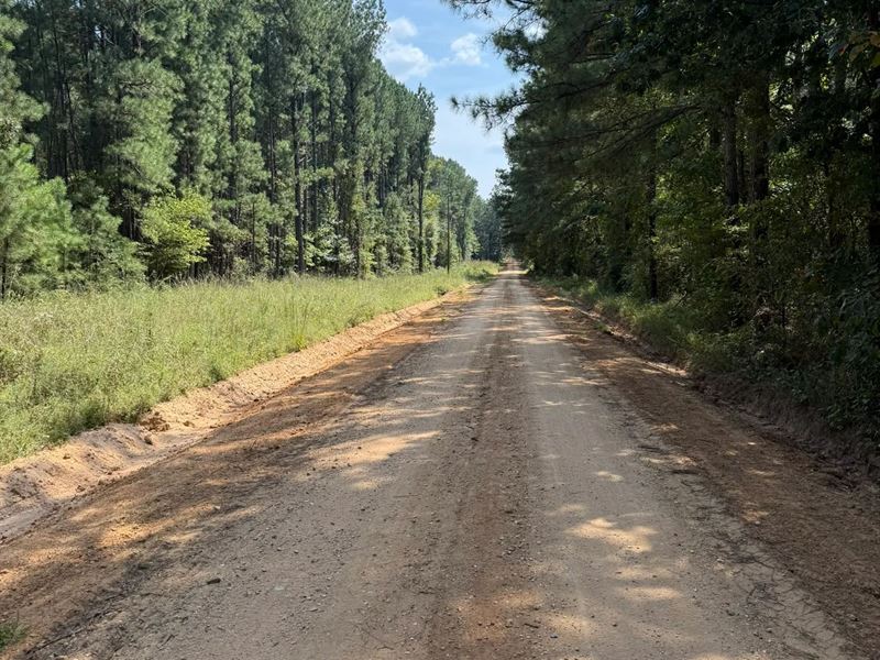 41 Acres in Smith County, MS : Raleigh : Smith County : Mississippi