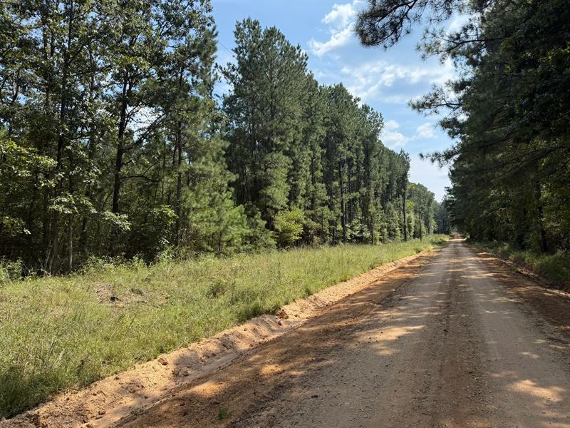 73 Acres in Smith County, MS : Raleigh : Smith County : Mississippi