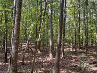 Elder Rd. Spalding Co.70 ac : Griffin : Spalding County : Georgia