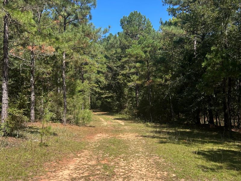 Pike Farm and Timber, 143 Acres : Troy : Pike County : Alabama
