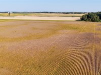 Land Auction, Wayne Co. Indiana : Williamsburg : Wayne County : Indiana