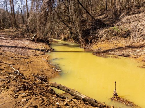 Extremely Off Grid Hunting Land : Ogle : Clay County : Kentucky