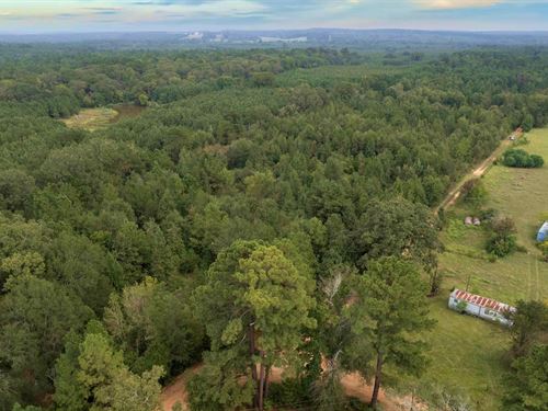 5.2 Acres in Houston County, TX : Grapeland : Houston County : Texas