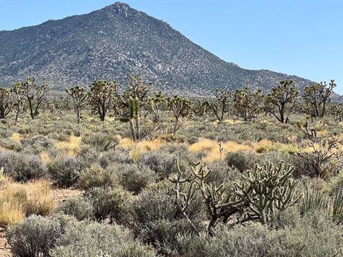5 Acres in Meadview : Meadview : Mohave County : Arizona