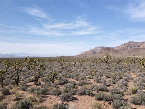 5 Acres Bordering 1,280 Acres : Meadview : Mohave County : Arizona