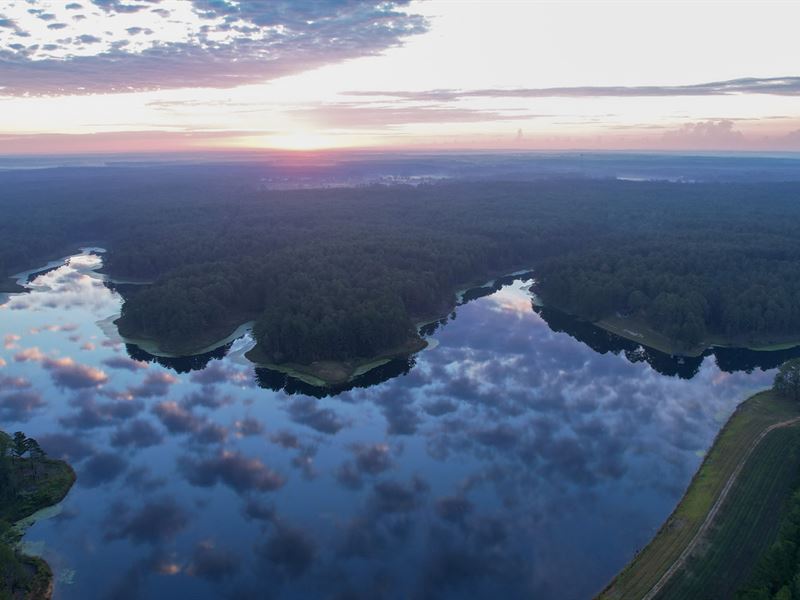 The Hudson Plantation : Purvis : Lamar County : Mississippi