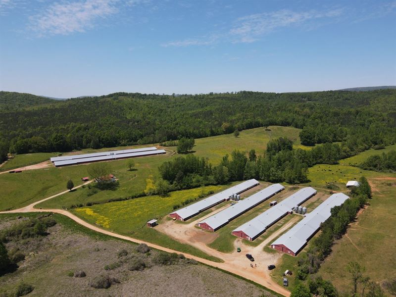 England Broiler & Cattle Farm : Lineville : Clay County : Alabama