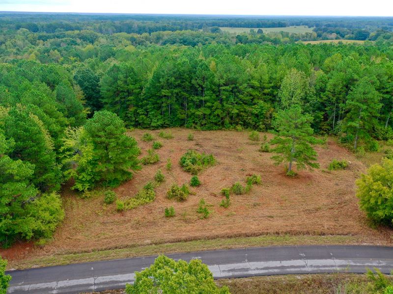 5 A/C Homesite/Mini-Farm : Waterloo : Lauderdale County : Alabama