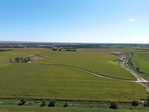 A.H. Tetsell Irrigated Land Auction : Sterling : Logan County : Colorado