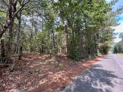 12.5 Acres, Chester Reeves Rd, McCo : McComb : Pike County : Mississippi