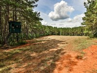 Yellow Creek Timber Farm West : Forsyth : Monroe County : Georgia