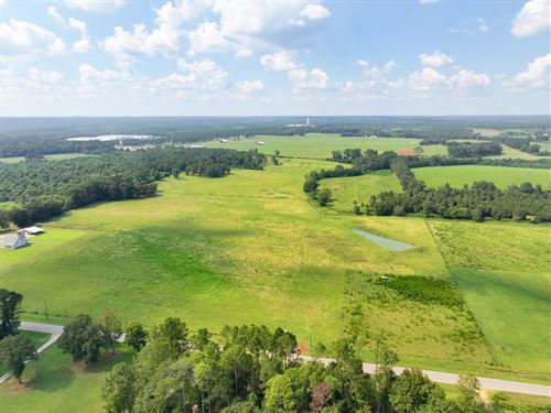 22 Acres in Greenville, AL : Greenville : Butler County : Alabama