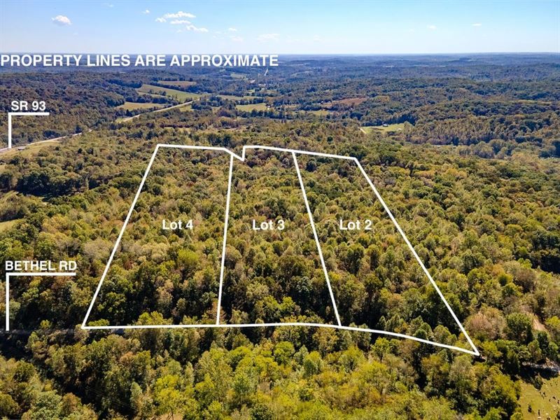 Bethel Rd Parcel 2, 10 Acres : New Plymouth : Vinton County : Ohio