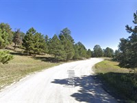 Rural Living & Equestrian Friendly : Peyton : El Paso County : Colorado