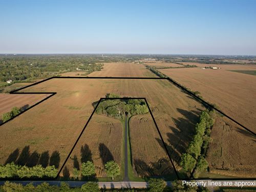 Huntley 71.5 Tillable : Huntley : McHenry County : Illinois