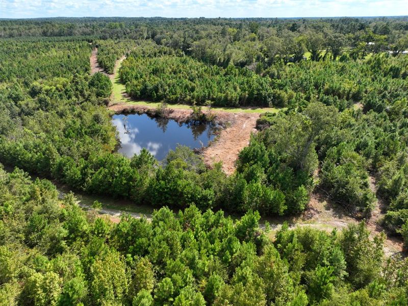 27.75 Ac Land for Sale Findley : Lyons : Toombs County : Georgia