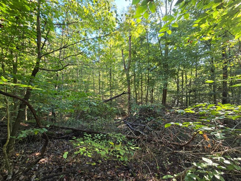 Recreational Property : New Albany : Floyd County : Indiana