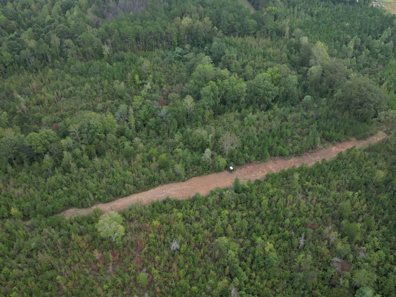 256.7 Acres in Monroe County in Smi : Smithville : Monroe County : Mississippi