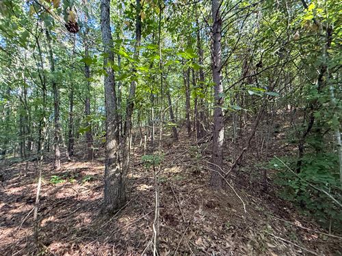 Mudsoc Rd Lot 5 : Patriot : Gallia County : Ohio