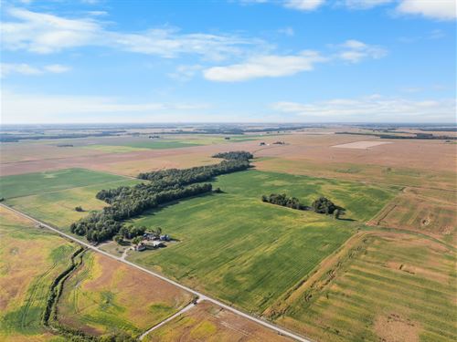 Richland and Jasper IL Land Auction : Dundas : Jasper County : Illinois