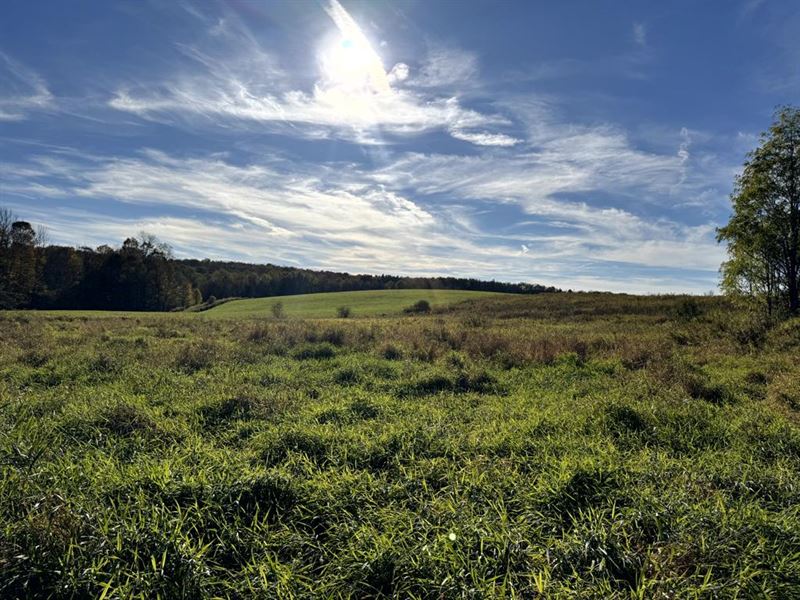 Chenango County Views : New Berlin : Chenango County : New York