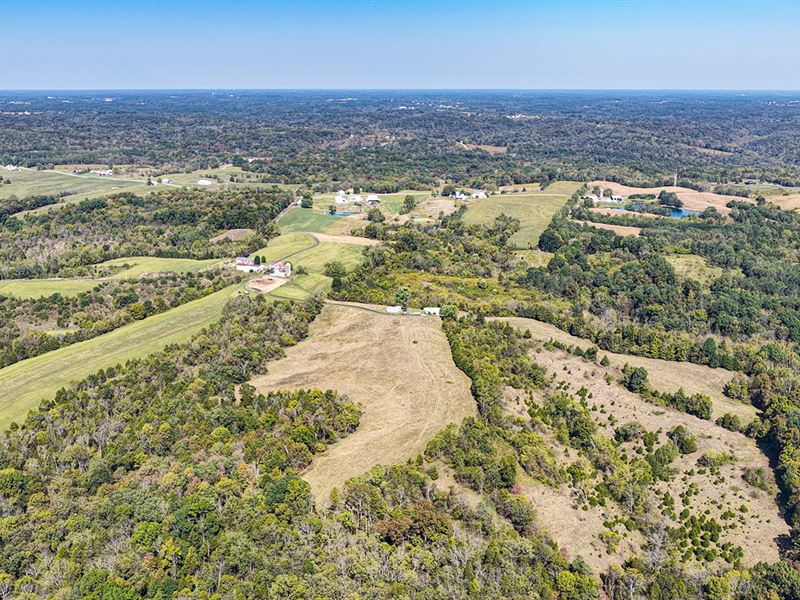 Land Auction, Switzerland Co In : Vevay : Switzerland County : Indiana